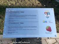 Imagine atasata: IMG_20150203_153937.jpg
